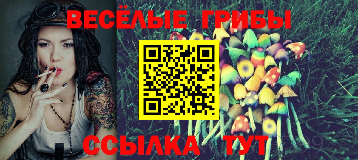 Псилоцибиновые грибы Magic Shrooms  где можно купить наркотик  Сокол  Вход с VPN 